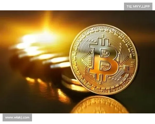 有利于加密货币的环境，尽管存在多个警告信号